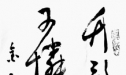 䡷 ͥ 
