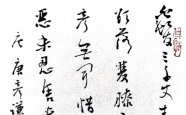 ӽ ơǫ 