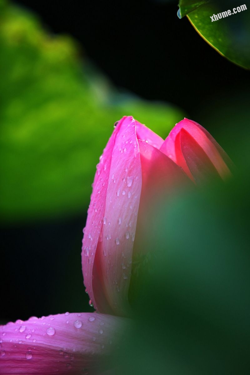 IMG_6573.jpg