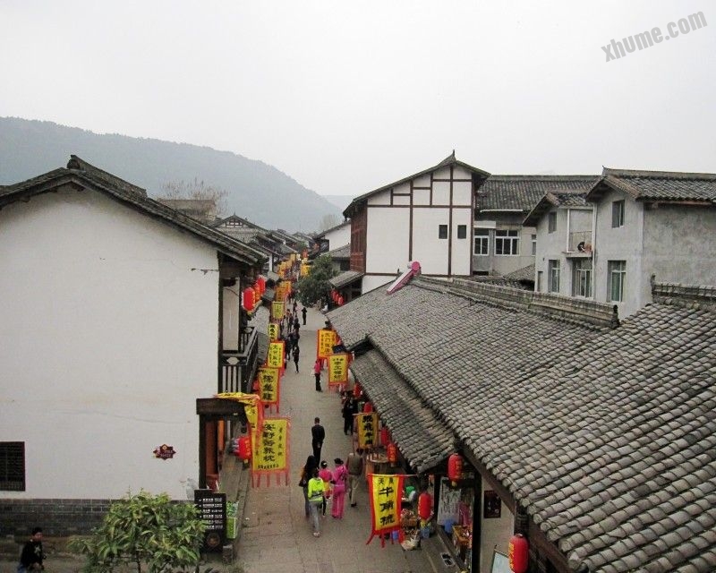 Ƭ 206_conew1.jpg