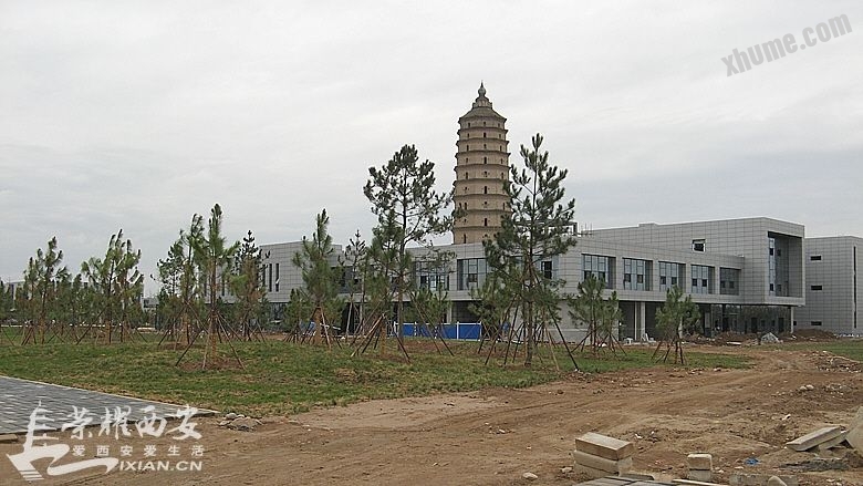 142813jfwcqdc63z2xb976.jpg