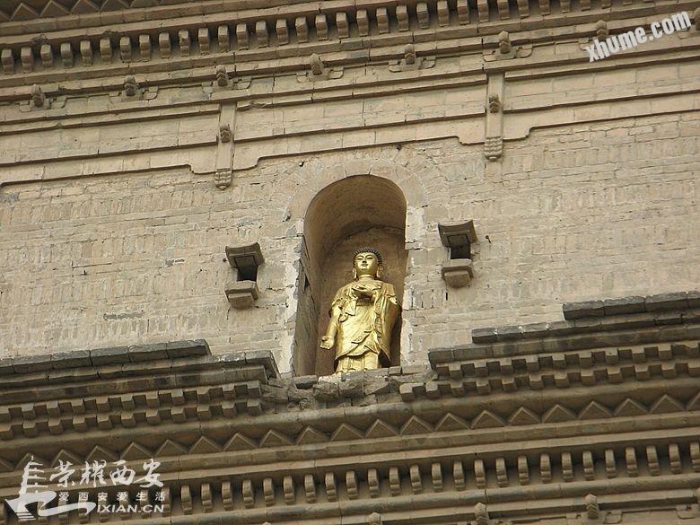 174500li8gm4m5tu5tooen.jpg