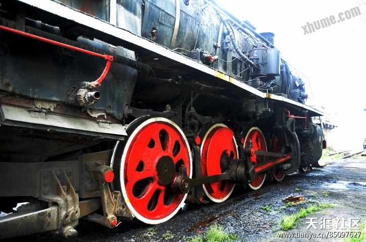 175188669.jpg