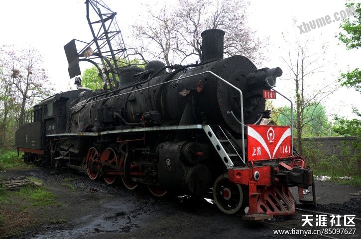 175188759.jpg