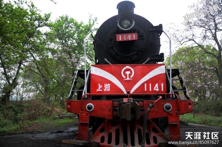 175188852.jpg