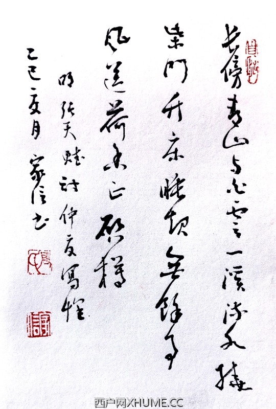 仲夏写怀  明·张天赋  。